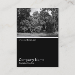 Carte De Visite Half&Half Photo 0330 - Arbres en été