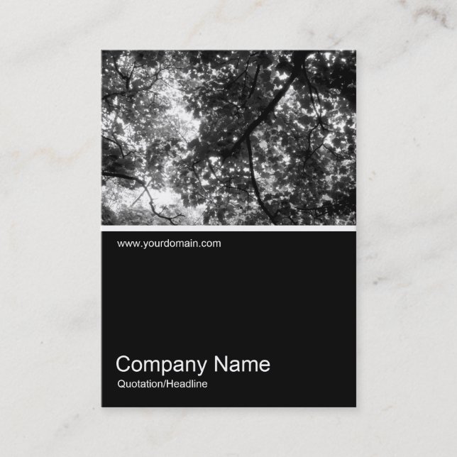 Carte De Visite Half&Half Photo 035 - Dans les arbres (Devant)