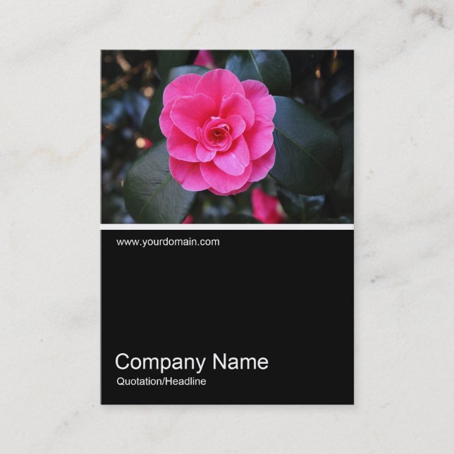 Carte De Visite Half&Half Photo 0361 - Camellia rose (Devant)