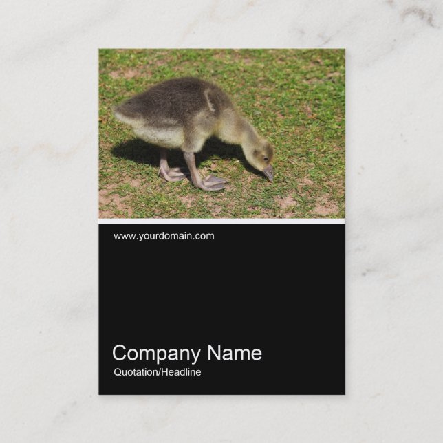 Carte De Visite Half&Half Photo 0367 - Gosling (Devant)