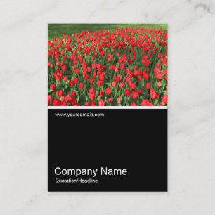 Carte De Visite Half&Half Photo 0382 - Lit des Tulipes Rouges 02