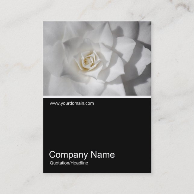 Carte De Visite Half&Half Photo 0383 - Camellia Blanche (Devant)