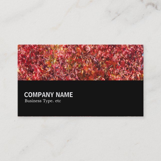 Carte De Visite Halfway 083 - Feuilles d'automne (Devant)