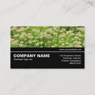 Carte De Visite Halfway V3 09 - Sedum (Joie d'Automne)