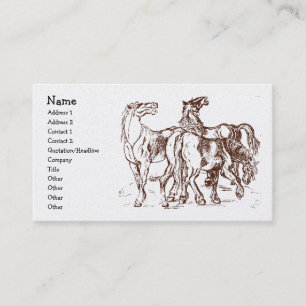 Carte De Visite heathershorses, nom, adresse 1, adresse 2,