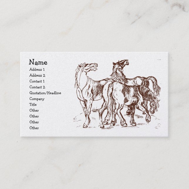 Carte De Visite heathershorses, nom, adresse 1, adresse 2, (Devant)