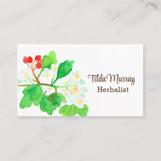 Carte De Visite Herbaliste Hawthorn Plante Berries Fleurs Herbes