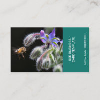 Herbe Fleurs Photographie Miel Bee