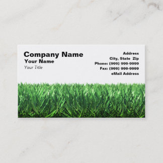 Carte De Visite Herbe verte sur le fond blanc