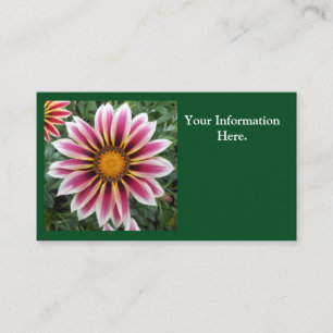 Carte De Visite Hereford