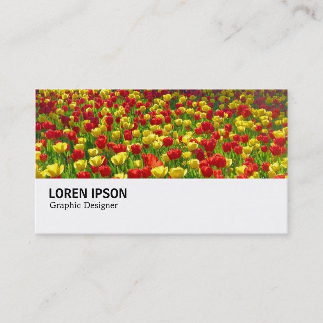 Carte De Visite Hi-Phi - 0187 - Mer des Tulipes (Devant)