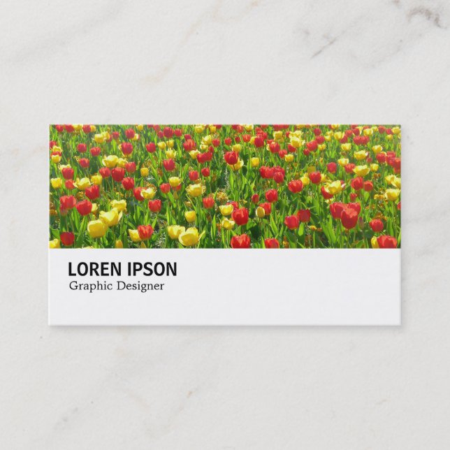 Carte De Visite Hi-Phi - 0188 - Mer des Tulipes II (Devant)