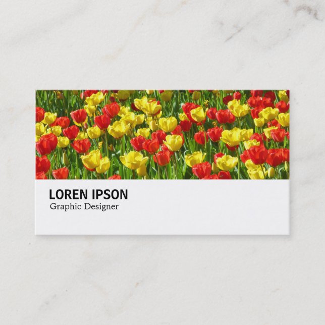 Carte De Visite Hi-Phi - 0190 - Mer des Tulipes III (Devant)