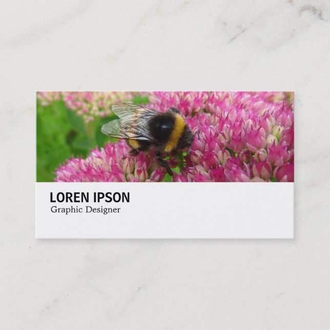 Carte De Visite Hi-Phi - 0246 - Bumble Bee on Sedum (Devant)