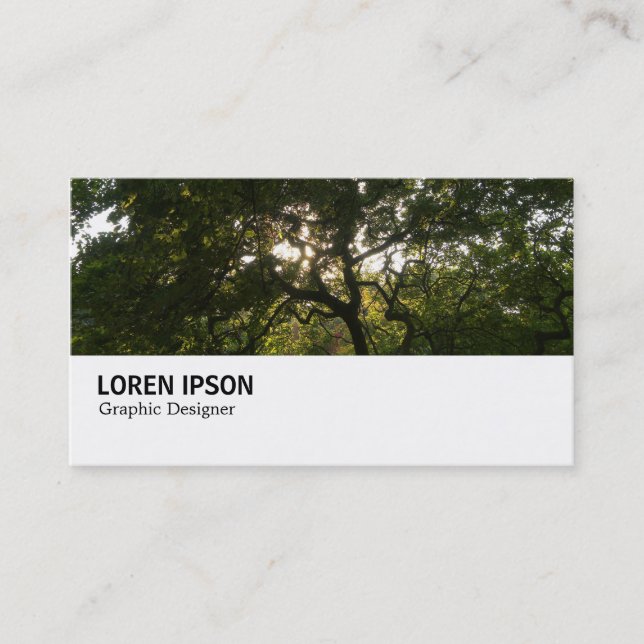 Carte De Visite Hi-Phi - 0267 - Branches japonaises 04 (Devant)