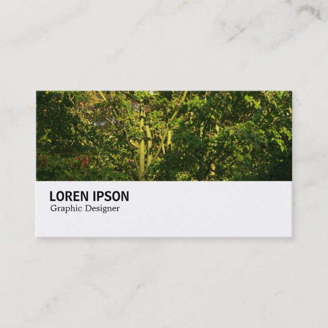 Carte De Visite Hi-Phi - 0268 - Branches japonaises 05 (Devant)