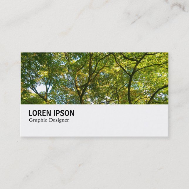 Carte De Visite Hi-Phi - 0269 - Branches japonaises 06 (Devant)