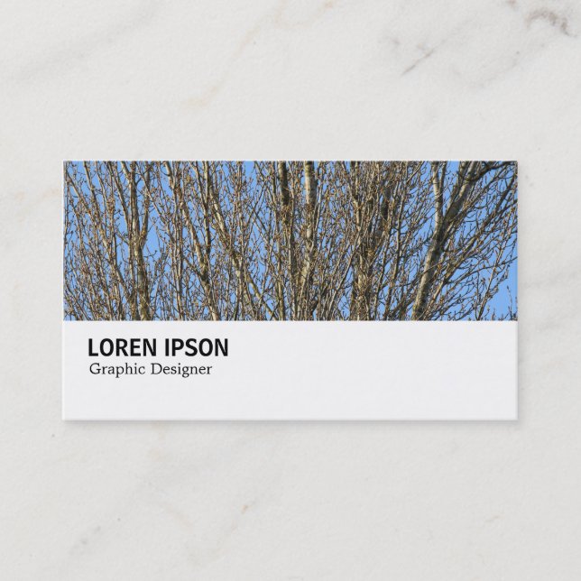 Carte De Visite Hi-Phi - 0276 - Branches ensoleillées (Devant)