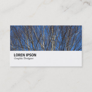 Carte De Visite Hi-Phi - 0280 - Branches de bouleau d'argent