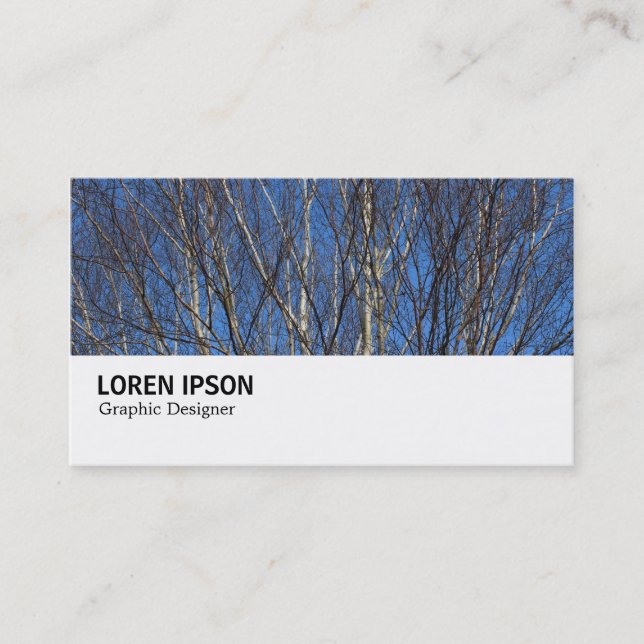 Carte De Visite Hi-Phi - 0280 - Branches de bouleau d'argent (Devant)