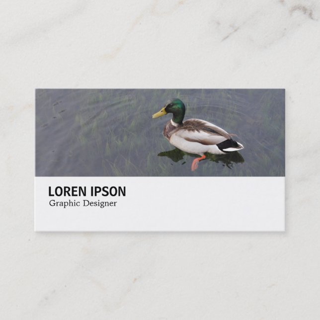 Carte De Visite Hi-Phi - 0282 - Canard colvert (Devant)