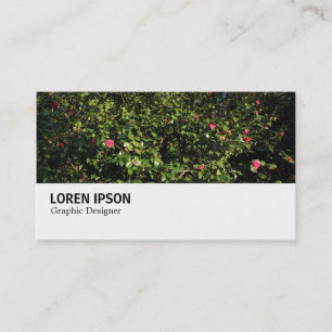 Carte De Visite Hi-Phi - 0286 - Buisson de Camélia