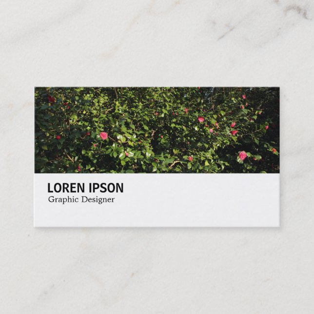 Carte De Visite Hi-Phi - 0286 - Buisson de Camélia (Devant)