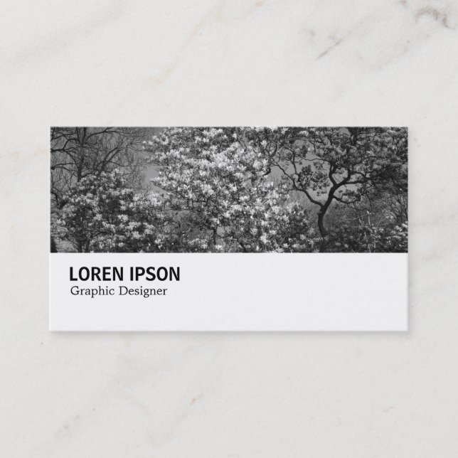 Carte De Visite Hi-Phi - 0291 - Magnolia Tree in Blossom (Devant)