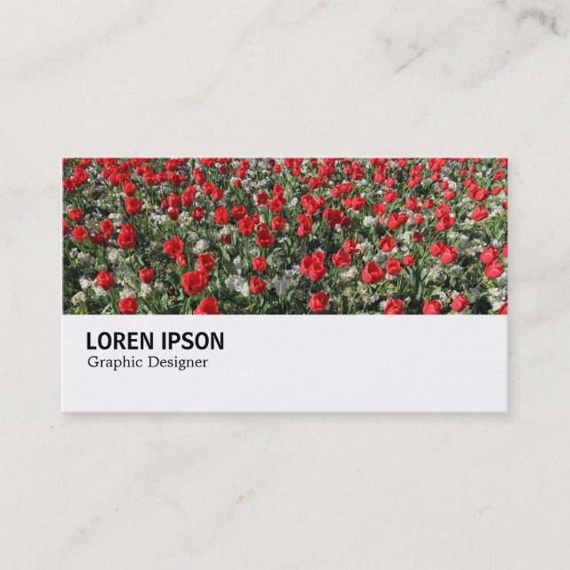Carte De Visite Hi-Phi - 0292 - Tulipes rouges et primeurs (Devant)