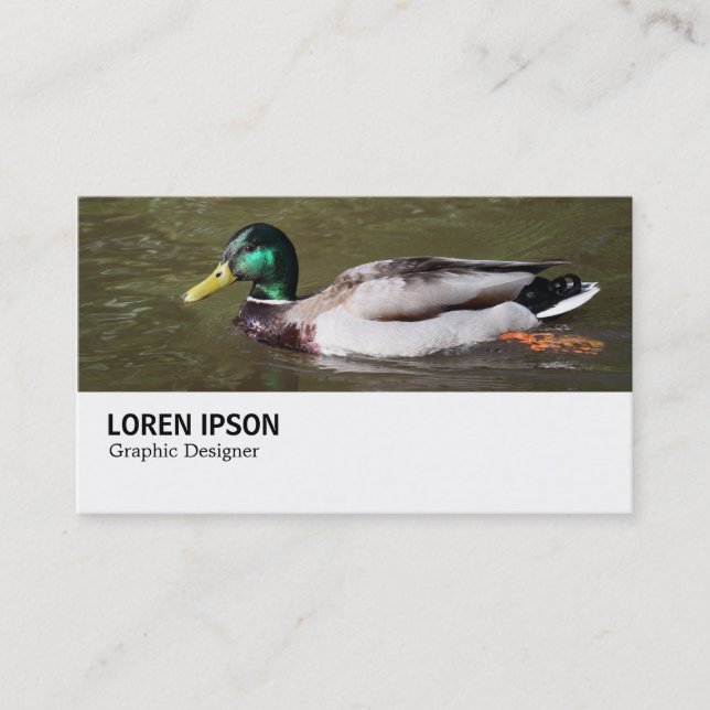 Carte De Visite Hi-Phi - 0294 - Mallard Duck (Devant)