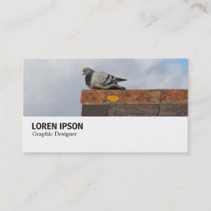 Carte De Visite Hi-Phi - 0369 - Bonjour Pigeon