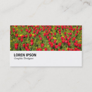 Carte De Visite Hi-Phi - 036 - Tulipes rouges