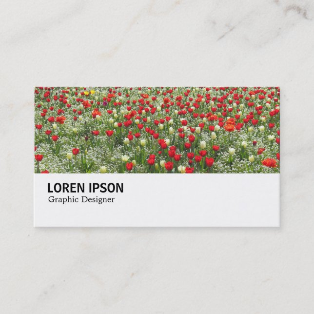 Carte De Visite Hi-Phi - 0373 - Lit de Tulipes (Devant)