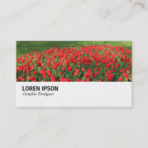 Carte De Visite Hi-Phi - 0375 - Lit de Tulipes Rouges 02