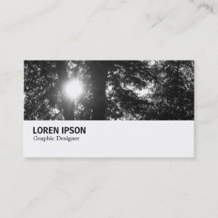 Carte De Visite Hi-Phi - 096 - Sun Through Trees B&W