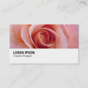 Carte De Visite Hi-Phi - 097 - Rose rose