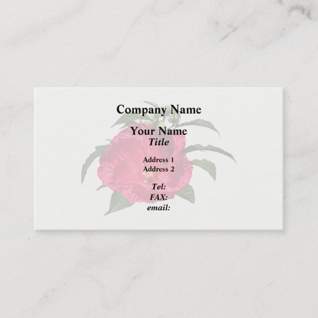 Carte De Visite Hibiscus rose foncé (Devant)