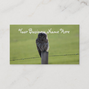 Carte De Visite Hibou barré de BAOW
