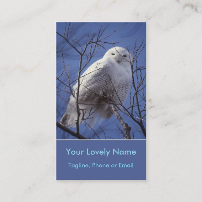 Carte De Visite Hibou de Snowy White, oiseau arctique blanc, ciel (Devant)