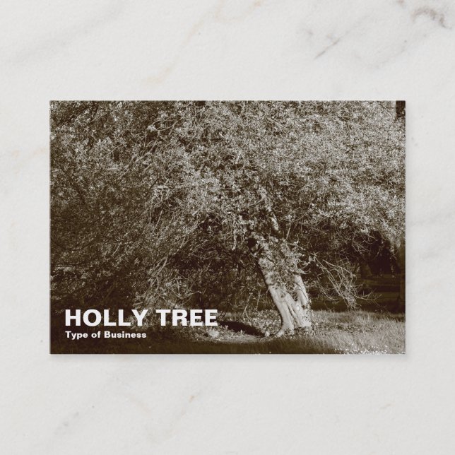 Carte De Visite Holly Tree - Sepia (Devant)