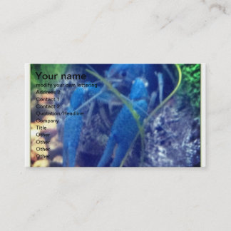 Carte De Visite homard de bleu de colorfull