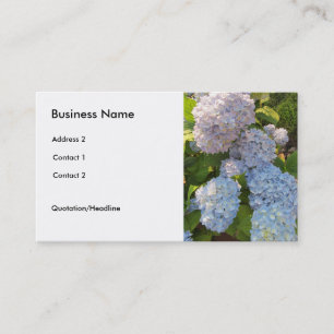 Carte De Visite Hortensias bleus et roses
