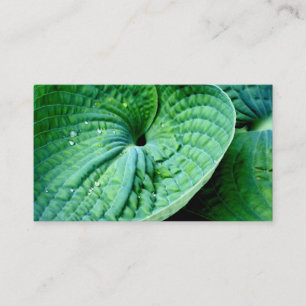 Carte De Visite Hosta Heart
