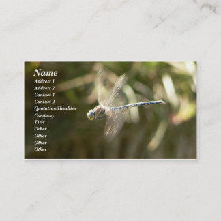 Carte De Visite Hoverer