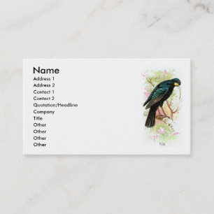 Carte De Visite Huia