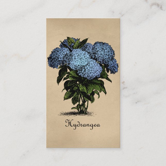 Carte De Visite Hydrangeas Vintage Botanique (Devant)
