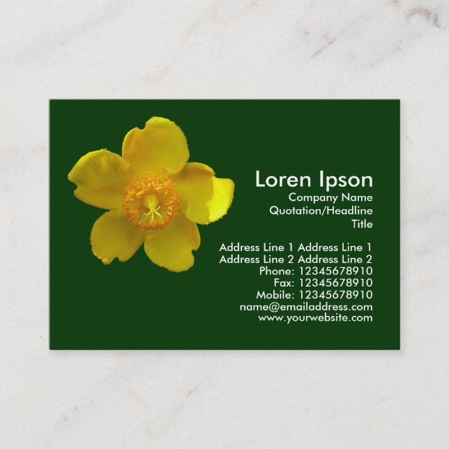 Carte De Visite Hypericum Hidcote (St. John's Wort) Vert foncé (Devant)
