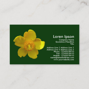 Carte De Visite Hypericum Hidcote - Vert foncé