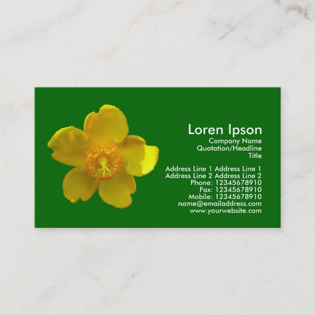 Carte De Visite Hypericum Hidcote - Vert herbe (Devant)