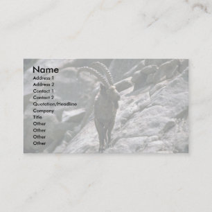Carte De Visite Ibex sibérien